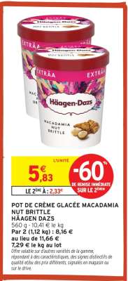 POT DE CRÈME GLACÉE MACADAMIA NUT BRITTLE HÄAGEN DAZS