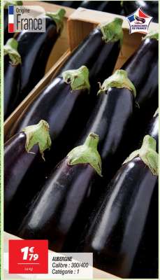 AUBERGINE