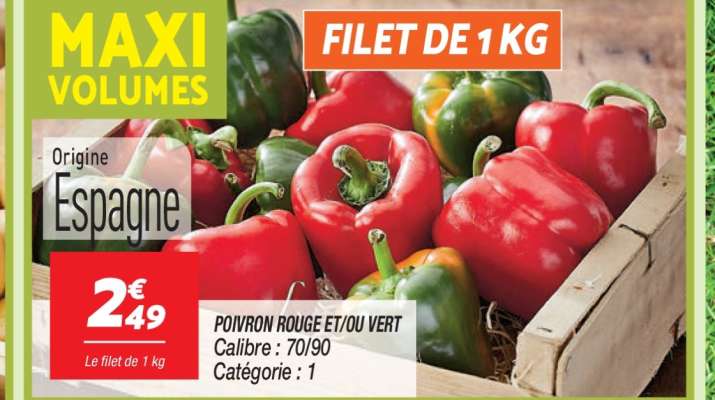 FILET DE 1 KG