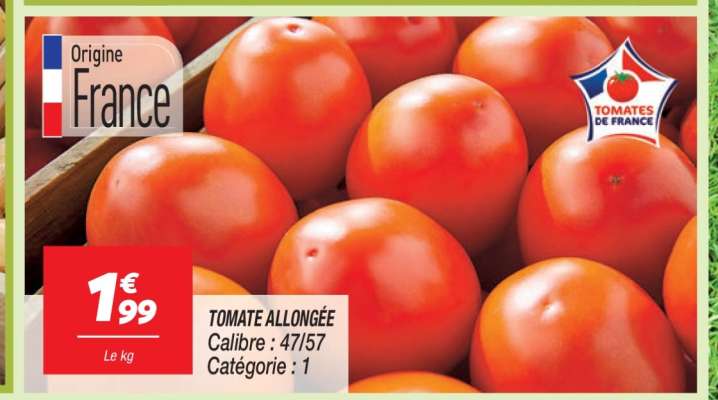 TOMATE ALLONGÉE