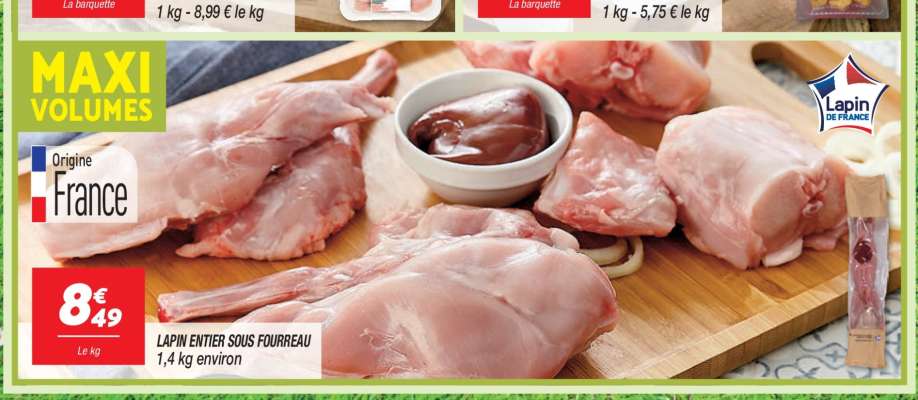 LAPIN ENTIER SOUS FOURREAU