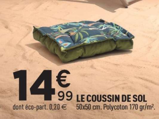LE COUSSIN DE SOL