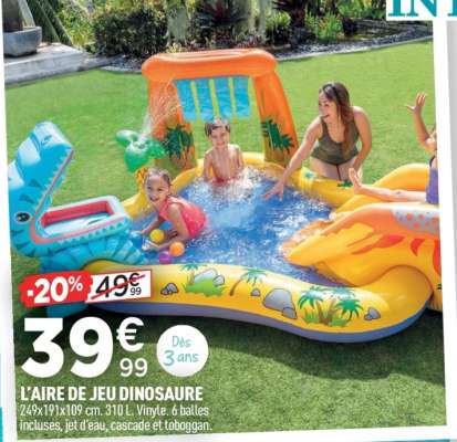 L'AIRE DE JEU DINOSAURE