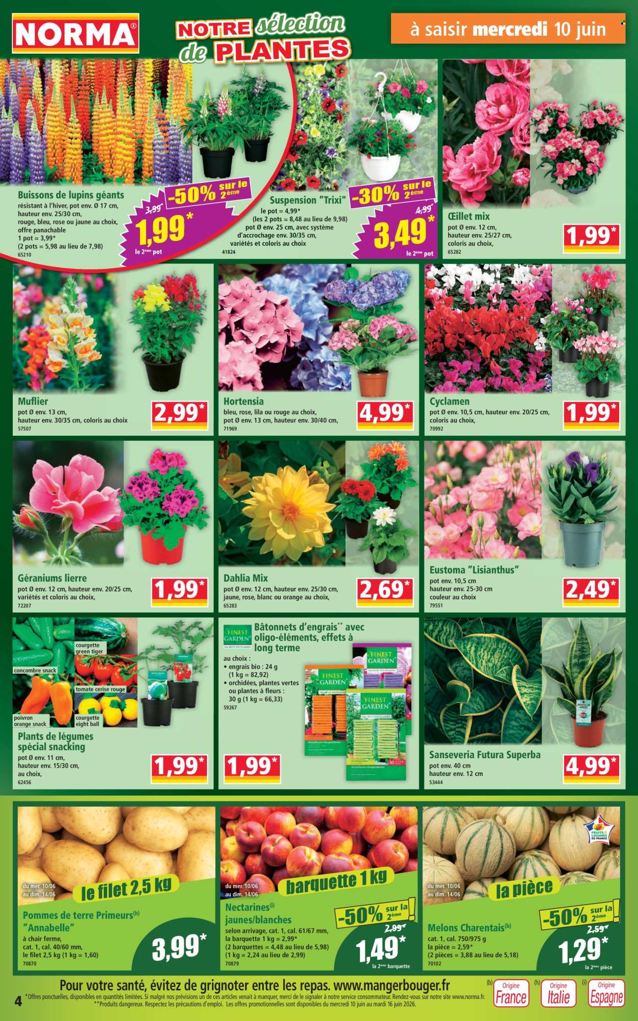 Catalogue Norma - 10/06/2026 - 16/06/2026. Page 4