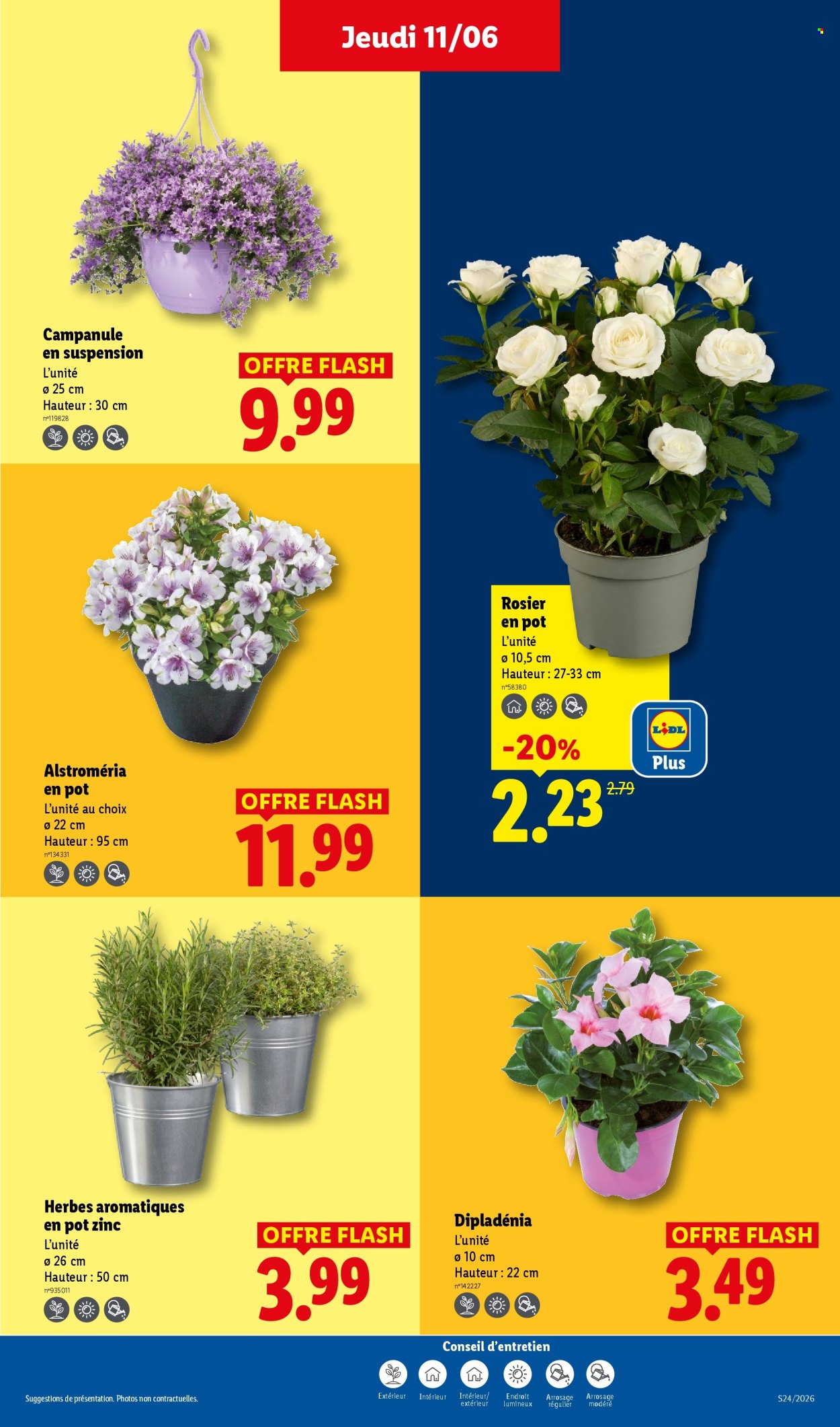 Catalogue Lidl - 11/06/2026 - 17/06/2026. Page 29