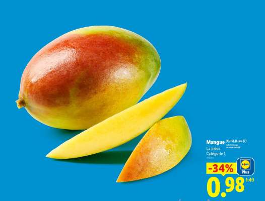 Mangue