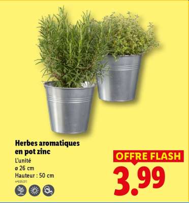 Herbes aromatiques en pot zinc