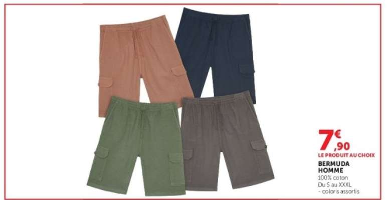 Bermuda Homme