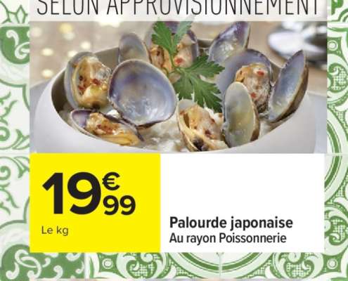 Palourde japonaise