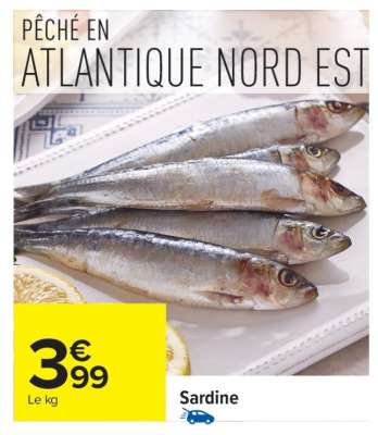 SARDINE
