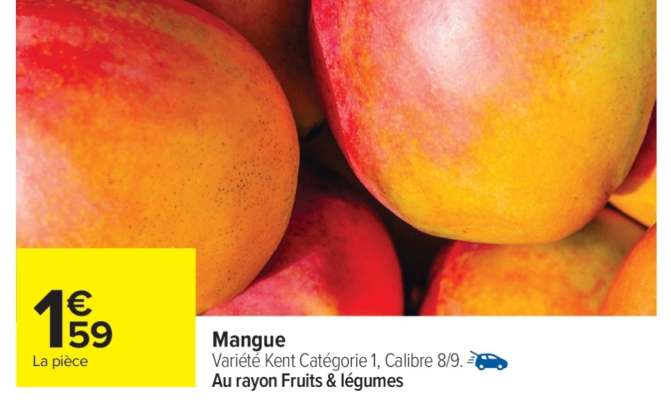 Mangue