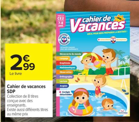 CAHIER DE VACANCES SDP