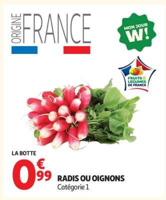 RADIS OU OIGNONS