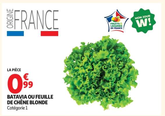Batavia Ou Feuille De Chêne Blonde