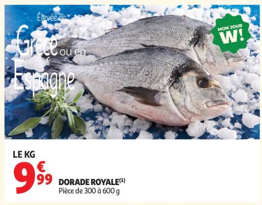 DORADE ROYALE