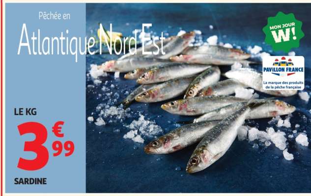 SARDINE