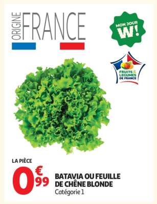 Batavia Ou Feuille De Chêne Blonde