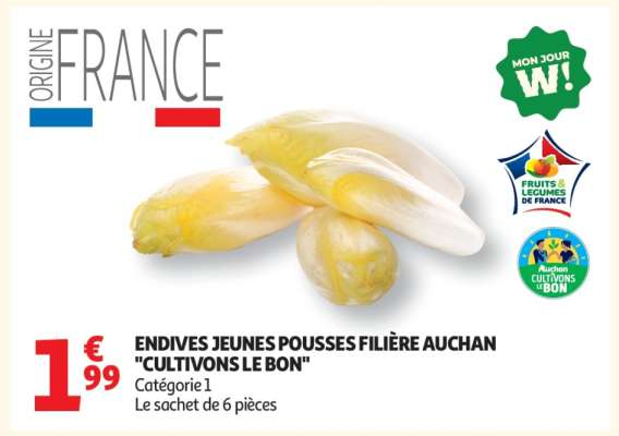 ENDIVES JEUNES POUSSES FILIÈRE AUCHAN "CULTIVONS LE BON"