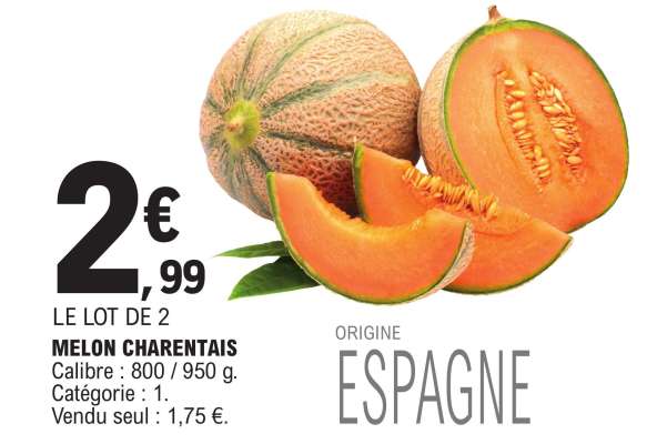 MELON CHARENTAIS