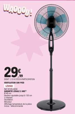 Ventilateur sur pied