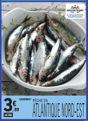 Sardines