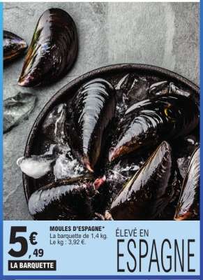 MOULES D'ESPAGNE