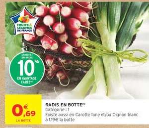 RADIS EN BOTTE