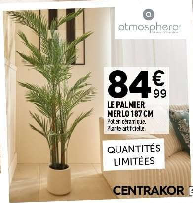 LE PALMIER MERLO 187 CM