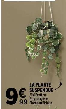 LA PLANTE SUSPENDUE