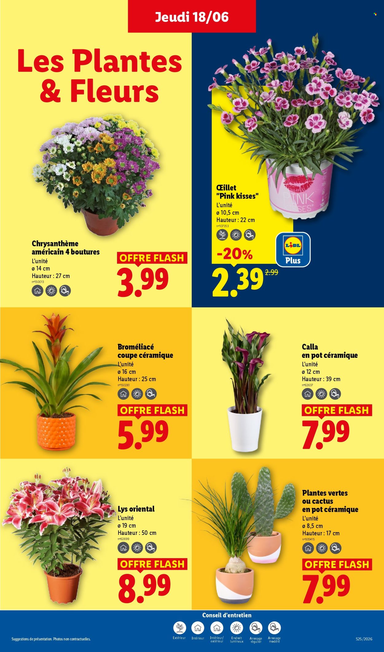 Catalogue Lidl - 18/06/2026 - 24/06/2026. Page 27