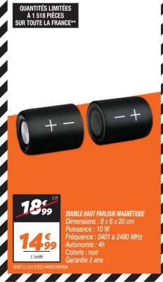 DOUBLE HAUT PARLEUR MAGNÉTIQUE
