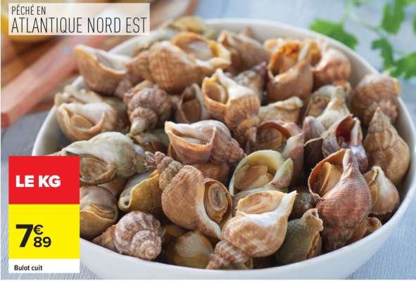 Bulot cuit
