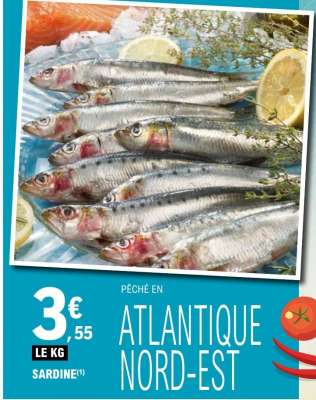 SARDINE