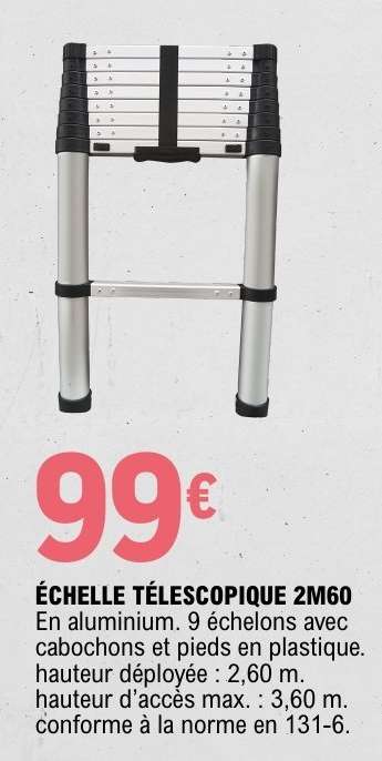 ÉCHELLE TÉLESCOPIQUE 2M60