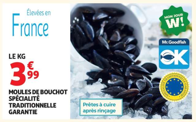 MOULES DE BOUCHOT