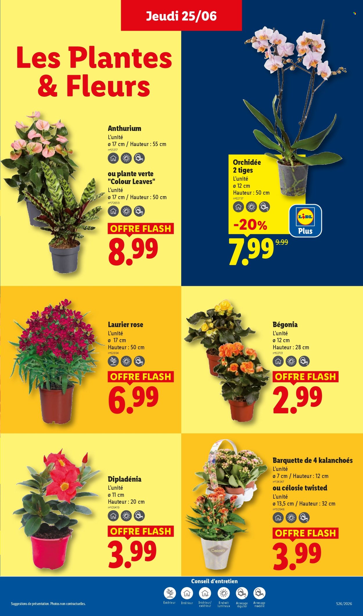 Catalogue Lidl - 25/06/2026 - 01/07/2026. Page 29