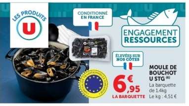 Moule de Bouchot U STG