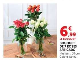 BOUQUET DE 7 ROSES AFRICADO