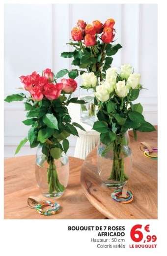 BOUQUET DE 7 ROSES AFRICADO