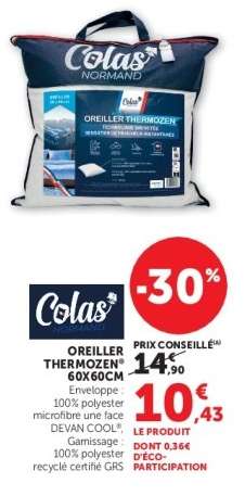 OREILLER THERMOZEN® 60X60CM