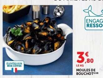MOULES DE BOUCHOT