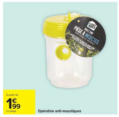 Piège à insectes