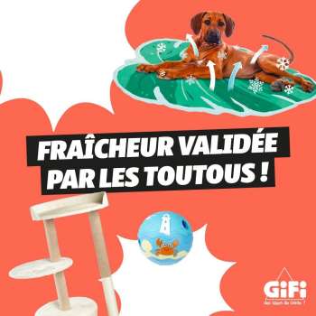 Catalogue GiFi.