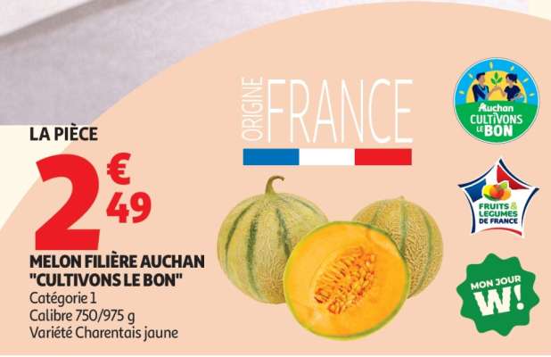 Melon Filière Auchan "Cultivons le Bon"