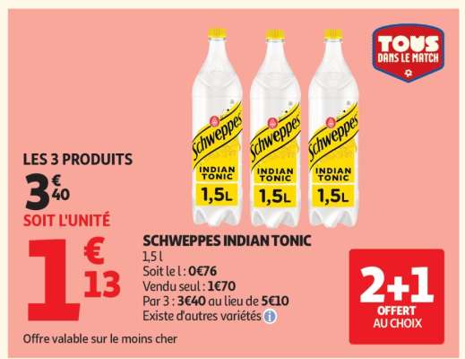Schweppes Indian Tonic