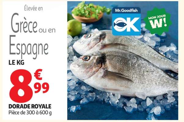 DORADE ROYALE