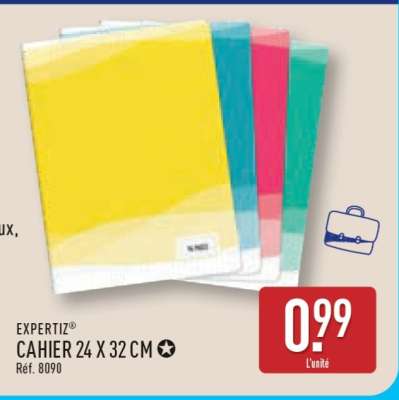 EXPERTIZ CAHIER 24 X 32 CM