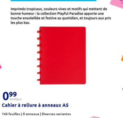 Cahier à reliure à anneaux A5