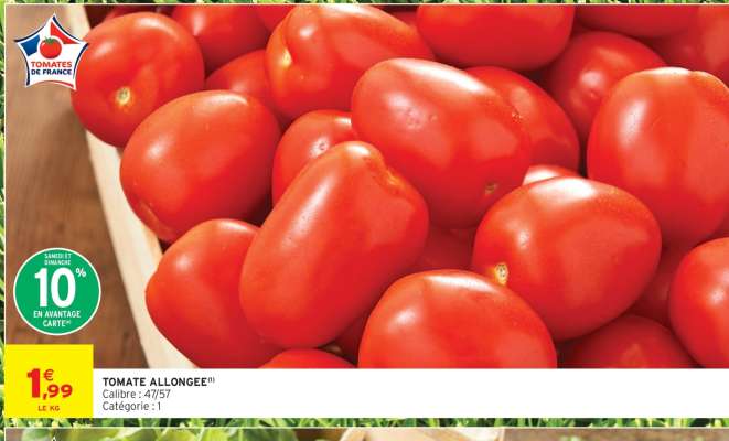 TOMATE ALLONGÉE