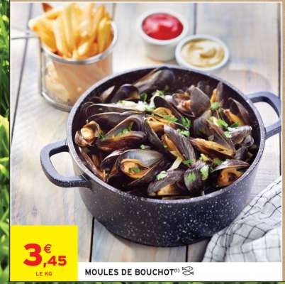 MOULES DE BOUCHOT